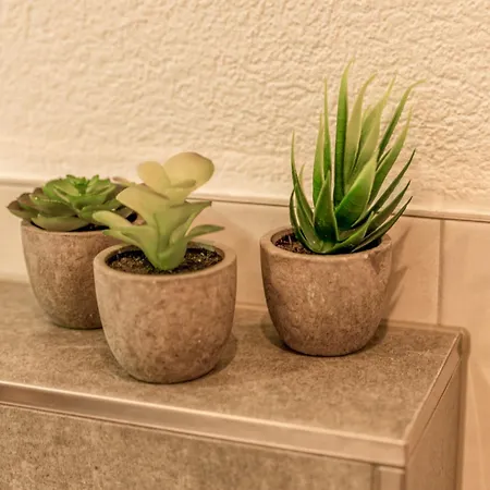 Josef By Interhome 公寓 Brunnhaus