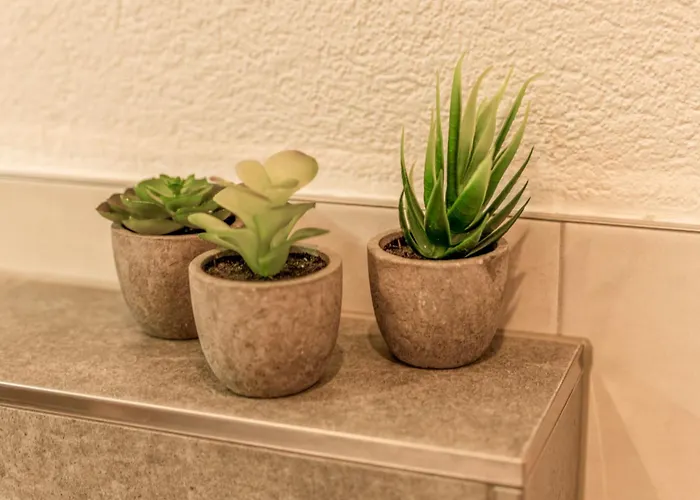 Josef By Interhome Appartement Brunnhaus